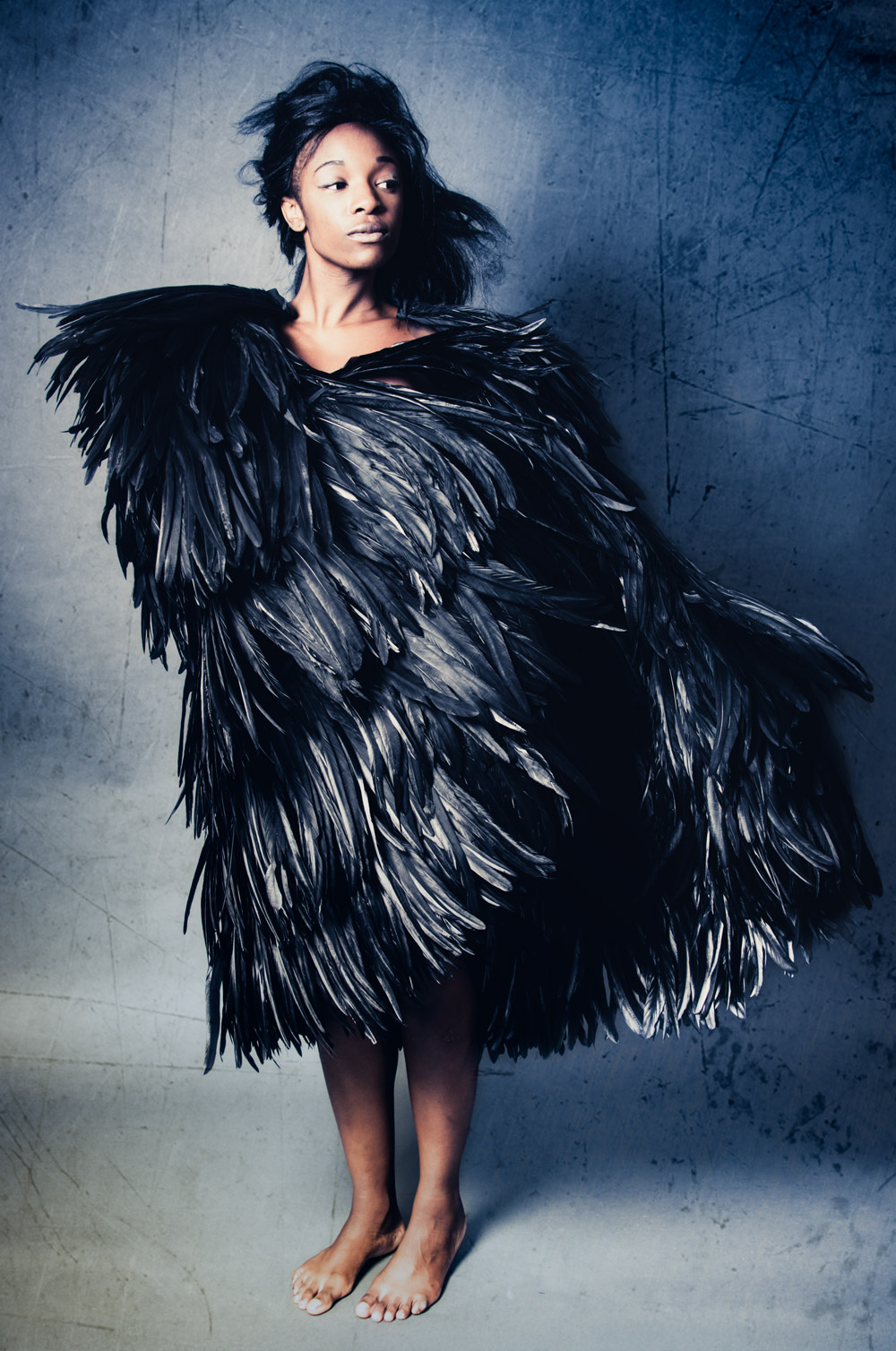 Sofia Feathers